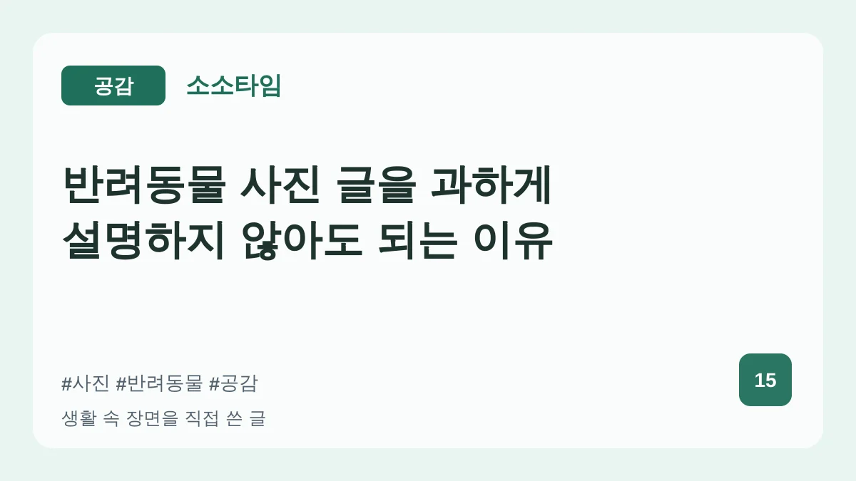 반려동물 사진 글을 과하게 설명하지 않아도 되는 이유 대표 이미지